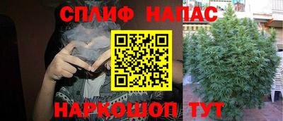 соль ск Дубна